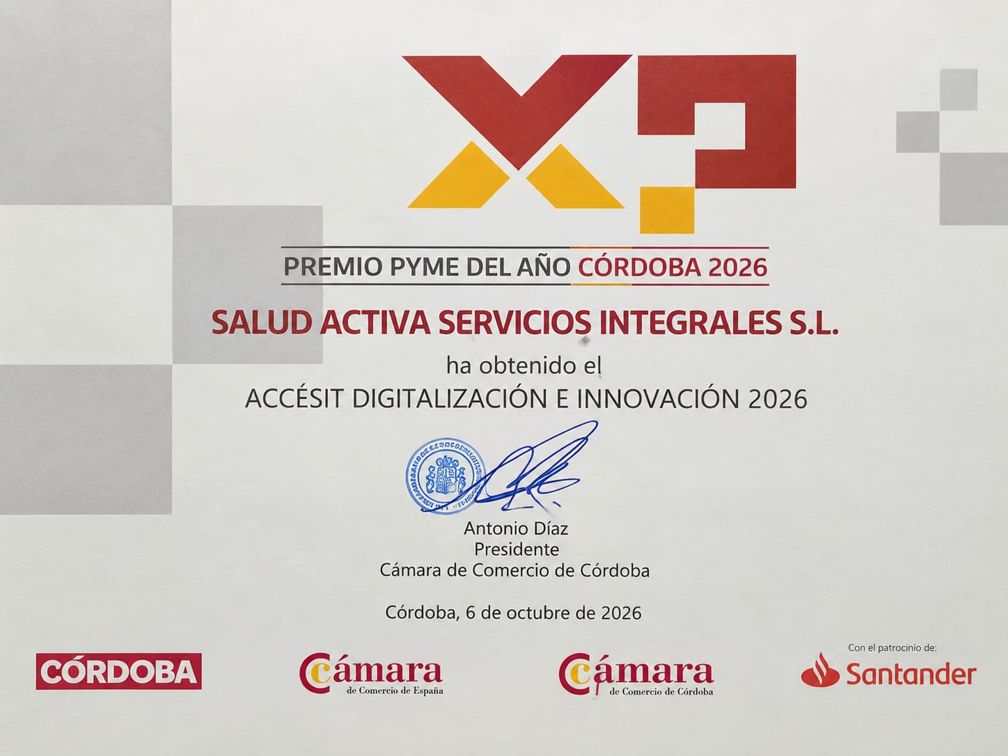 diploma camara comercio